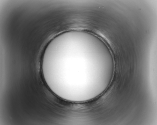 X0000088731459200705311106