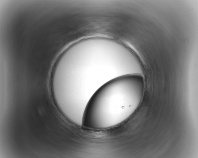 X0000088731460200705311106