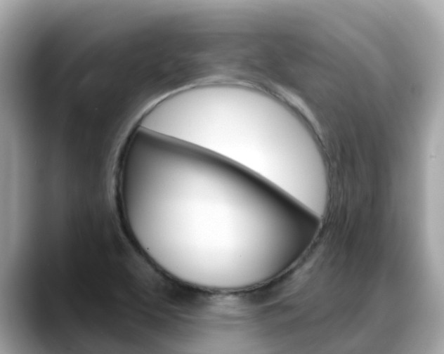 X0000088731463200705311106