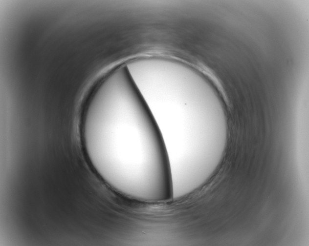 X0000088731464200705311106