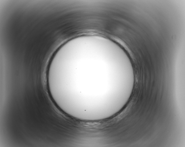 X0000088731466200705311106