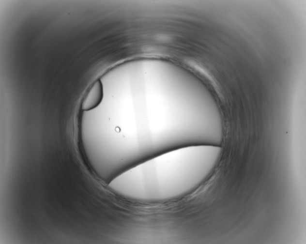X0000088731467200705311106