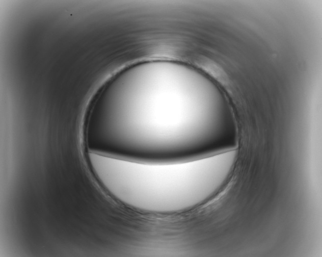 X0000088731469200705311106