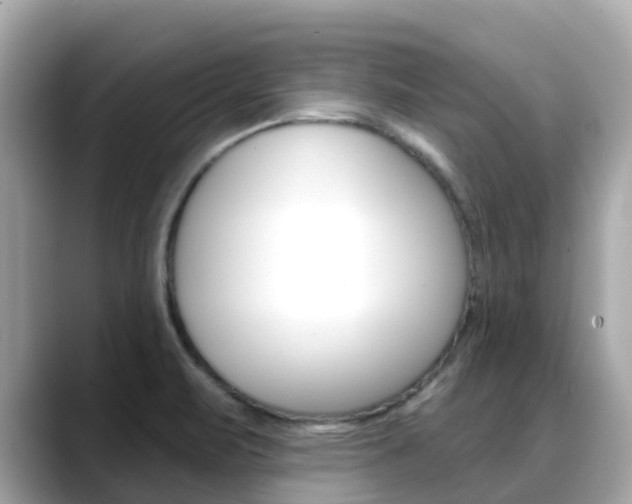 X0000088731471200705311106