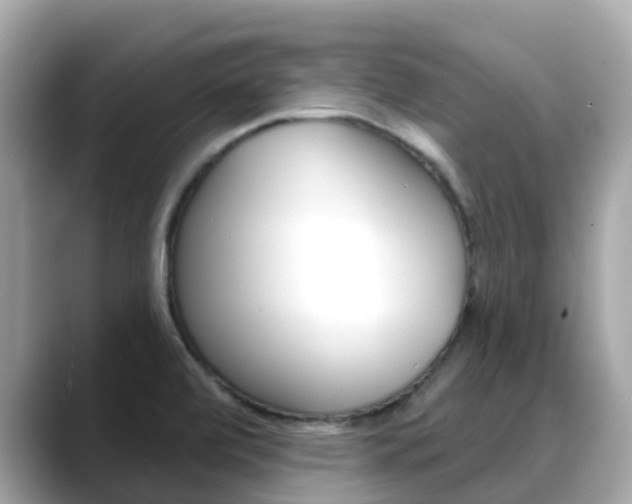 X0000088731472200705311106