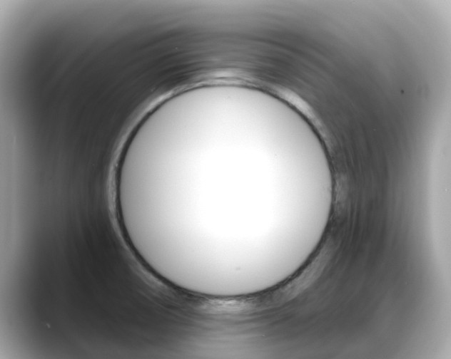 X0000088731474200705311106