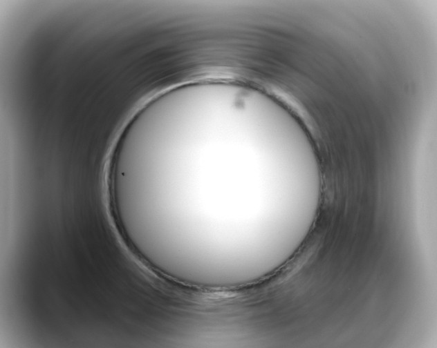 X0000088731475200705311106