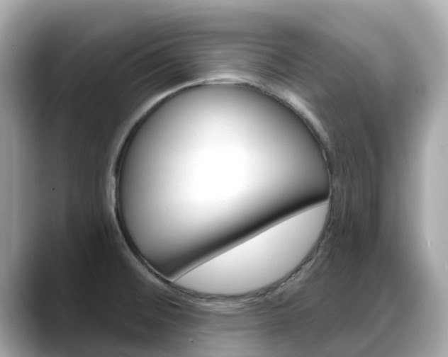 X0000088731476200705311106