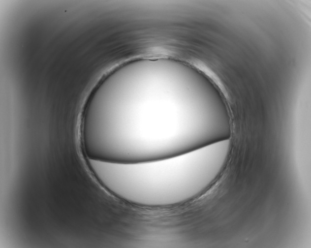 X0000088731477200705311106