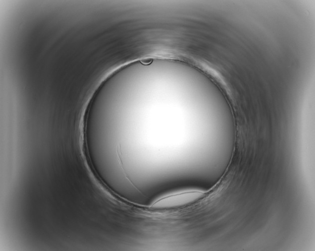 X0000088731479200705311106
