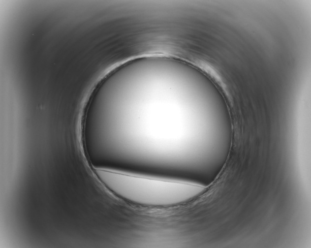 X0000088731480200705311106