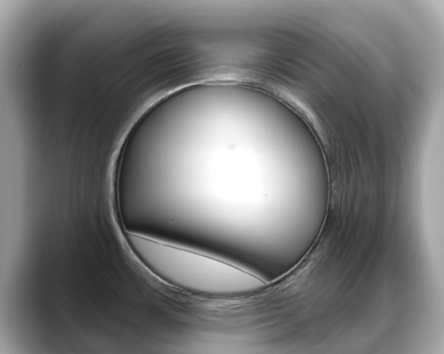X0000088731483200705311106