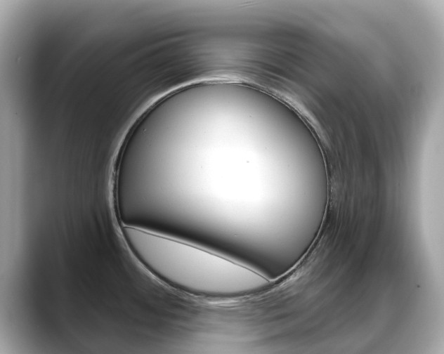 X0000088731484200705311106