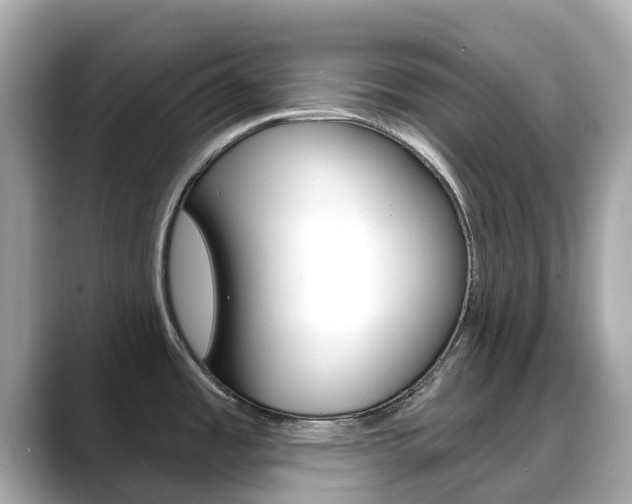 X0000088731485200705311106