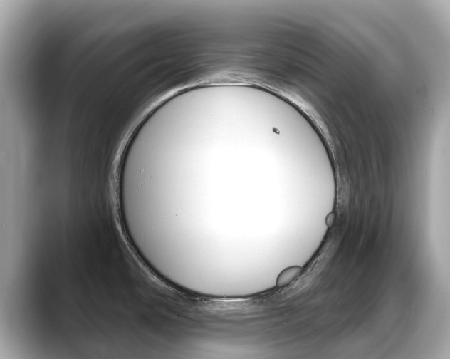 X0000088731486200705311106