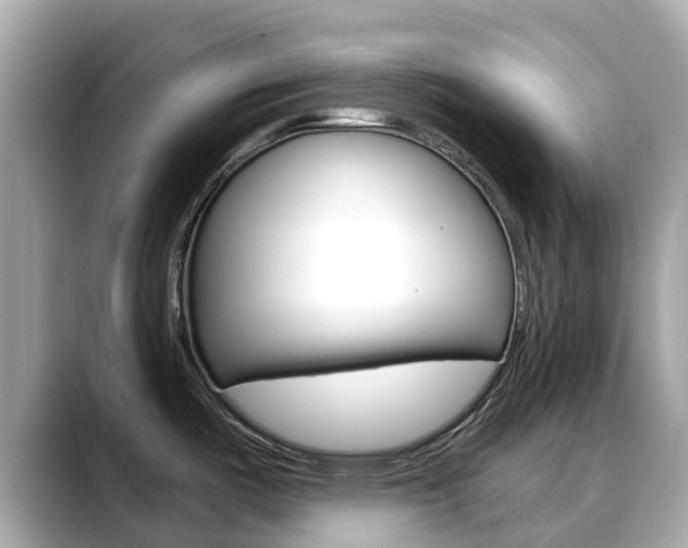 X0000088731487200705311106