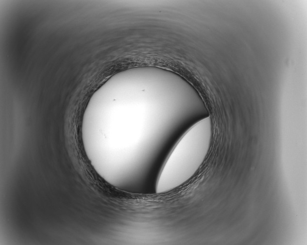 X0000088731489200705311105