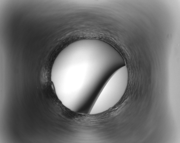 X0000088731490200705311106