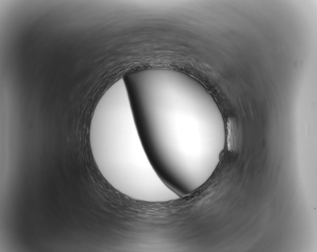X0000088731491200705311106