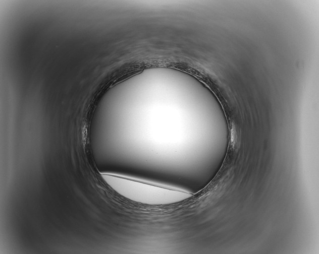 X0000088731492200705311106