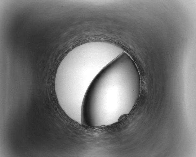 X0000088731493200705311106