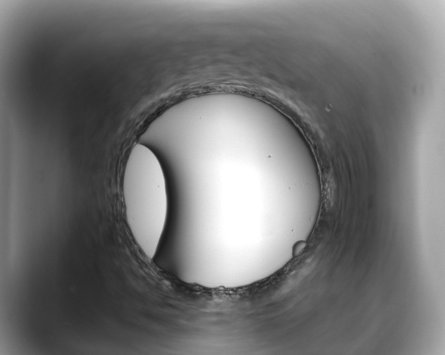 X0000088731494200705311106