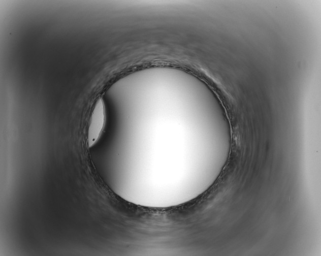 X0000088731495200705311106