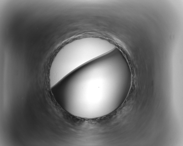 X0000088731496200705311106