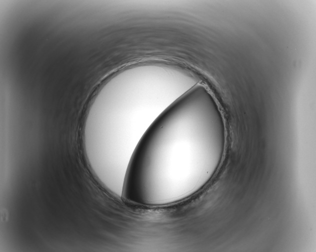 X0000088731497200705311106