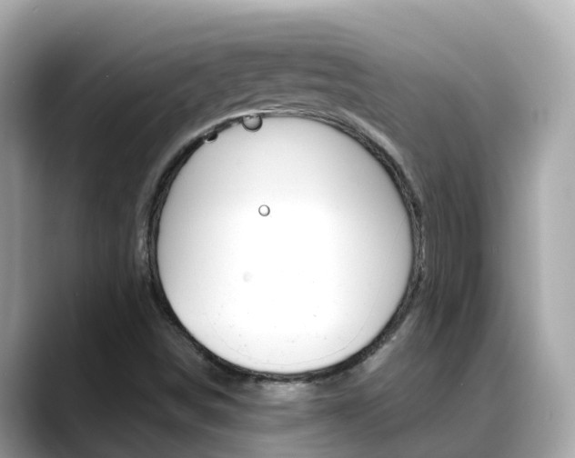 X0000088731498200705311106