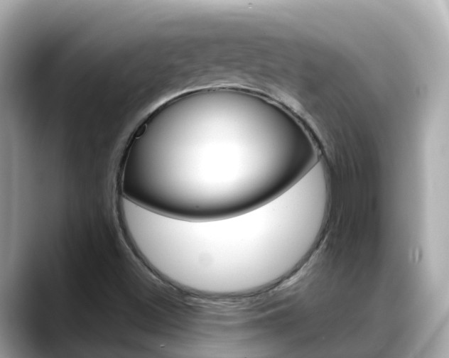 X0000088731500200705311106