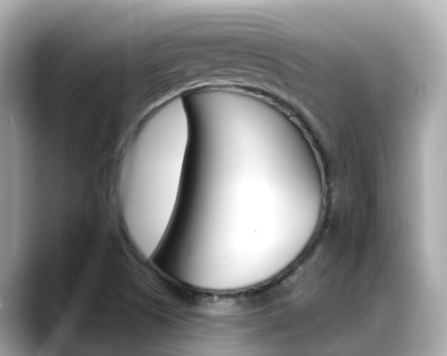 X0000088731505200705311106
