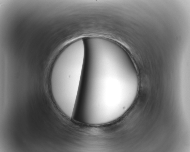 X0000088731507200705311106