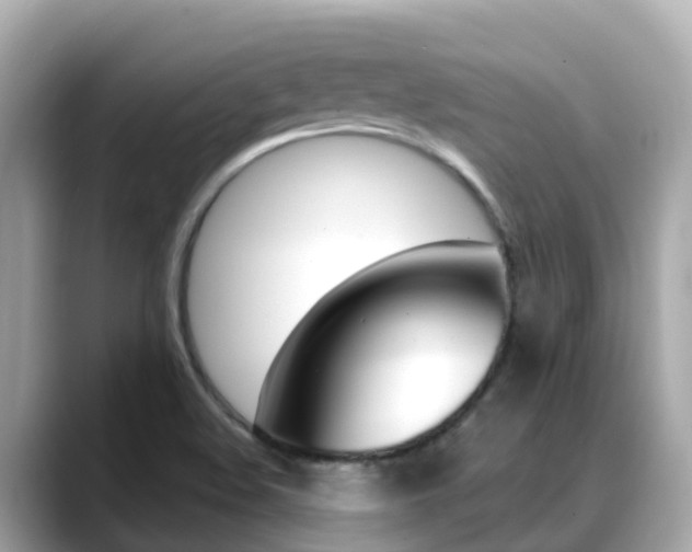 X0000088731508200705311106
