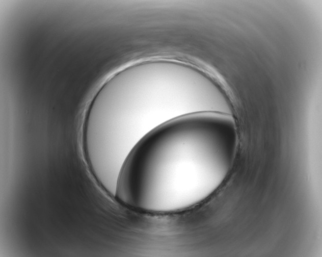 X0000088731512200705311106