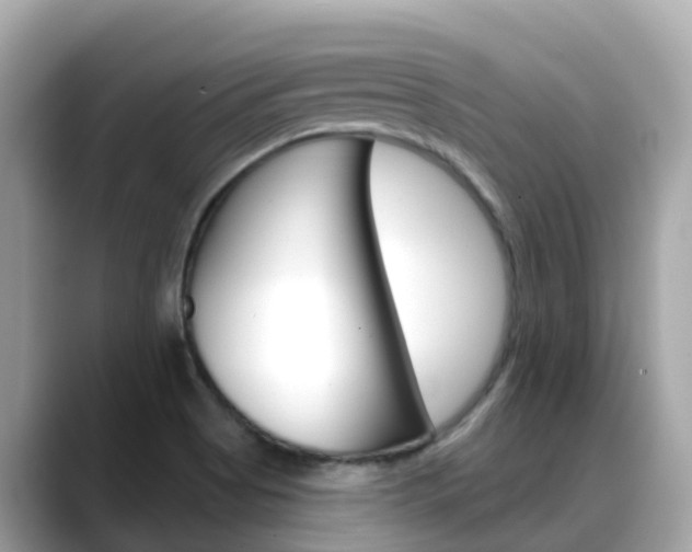 X0000088731513200705311106