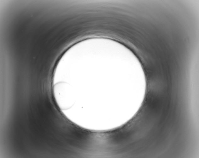 X0000088731514200705311106