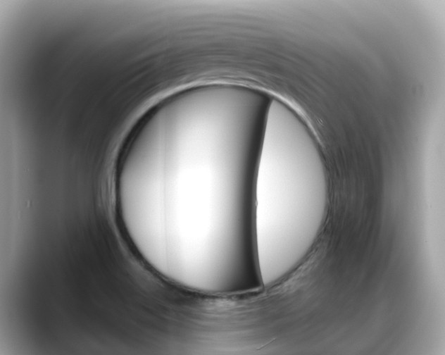 X0000088731515200705311106