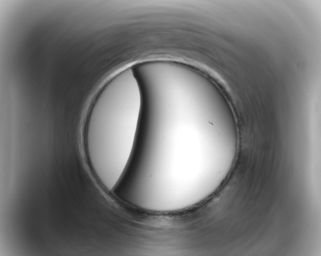 X0000088731517200705311106