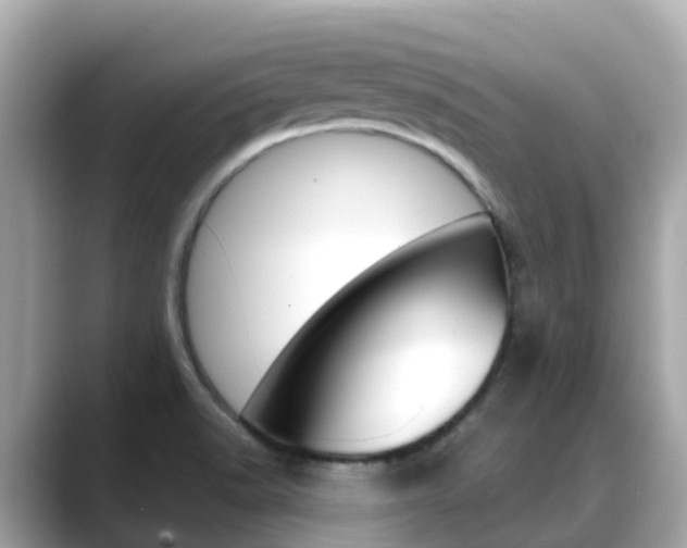 X0000088731518200705311106