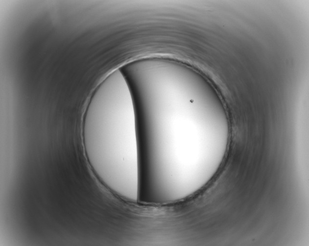 X0000088731521200705311106