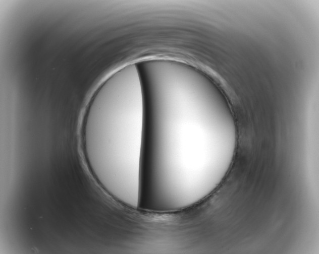 X0000088731522200705311106