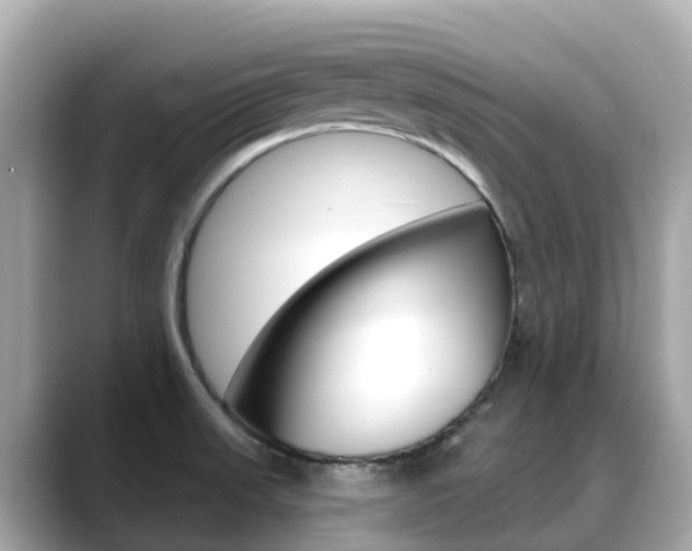 X0000088731523200705311106