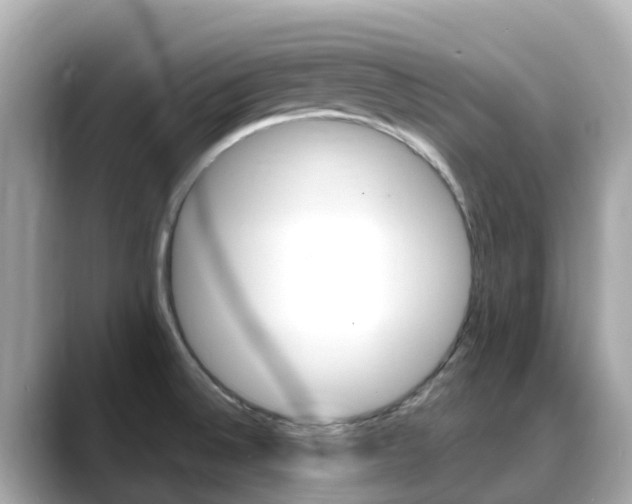X0000088731524200705311106