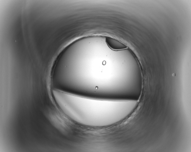 X0000088731525200705311106