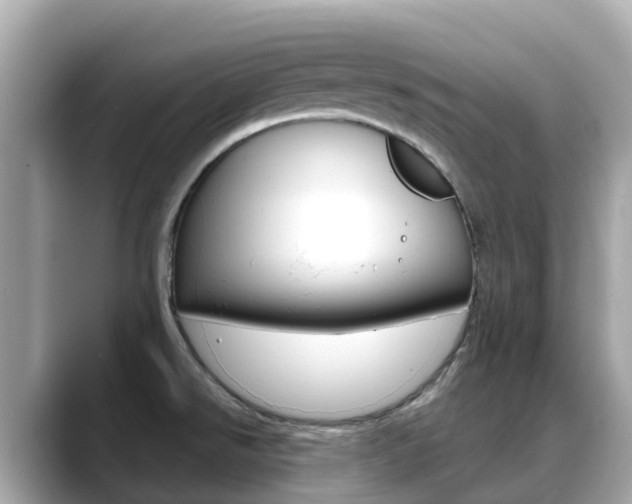 X0000088731526200705311106