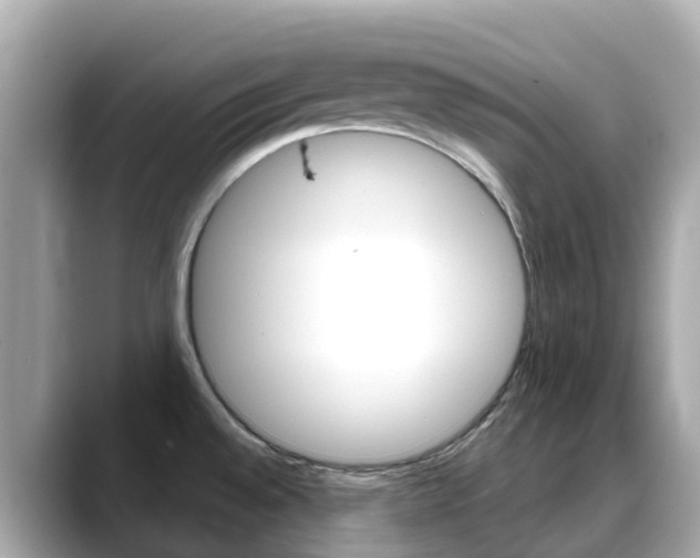X0000088731528200705311106