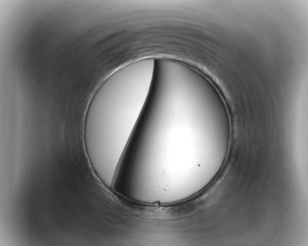 X0000088731529200705311106