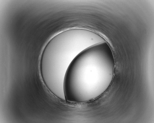 X0000088731530200705311106