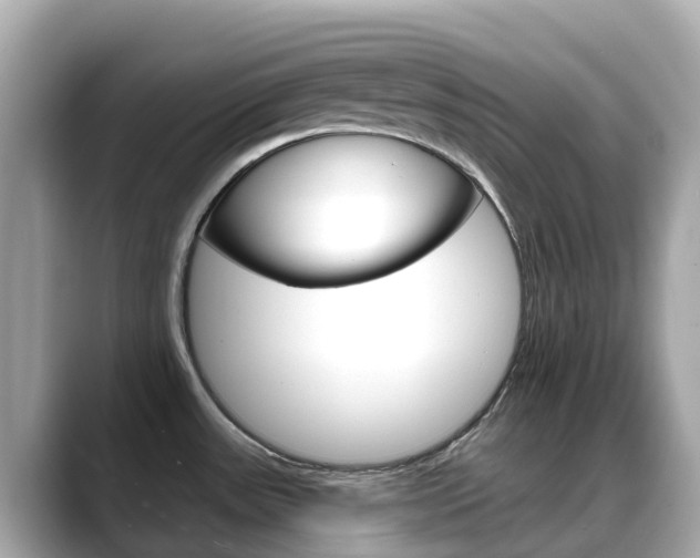 X0000088731531200705311106